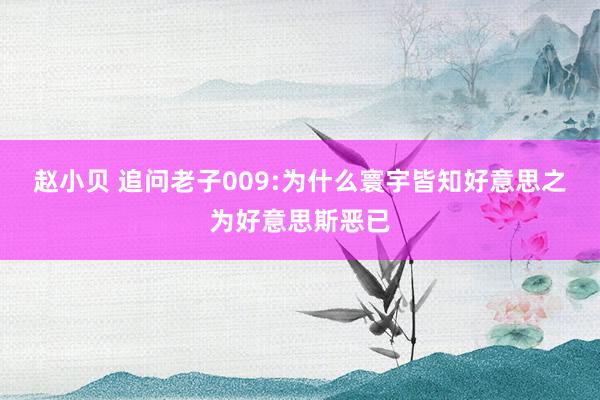赵小贝 追问老子009:为什么寰宇皆知好意思之为好意思斯恶已