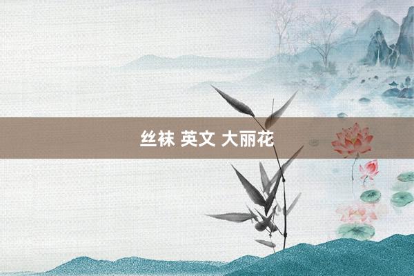 丝袜 英文 大丽花