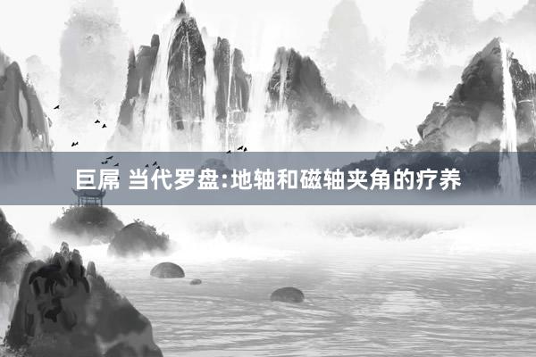巨屌 当代罗盘:地轴和磁轴夹角的疗养