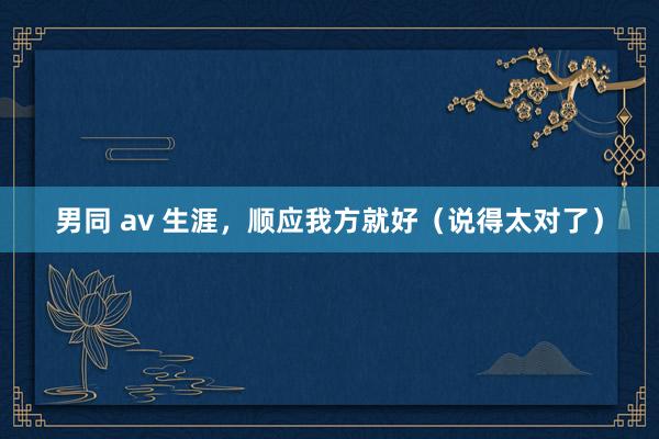男同 av 生涯，顺应我方就好（说得太对了）