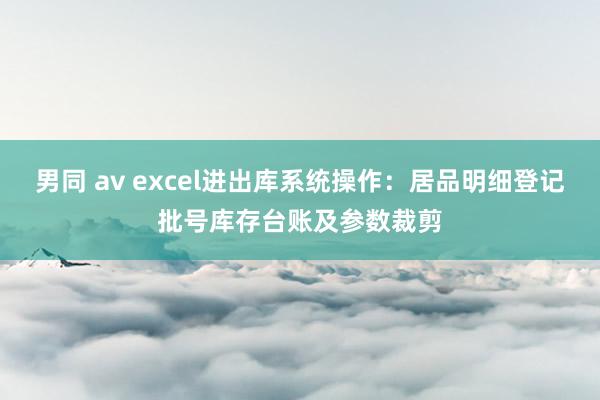 男同 av excel进出库系统操作：居品明细登记批号库存台账及参数裁剪