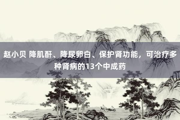 赵小贝 降肌酐、降尿卵白、保护肾功能，可治疗多种肾病的13个中成药