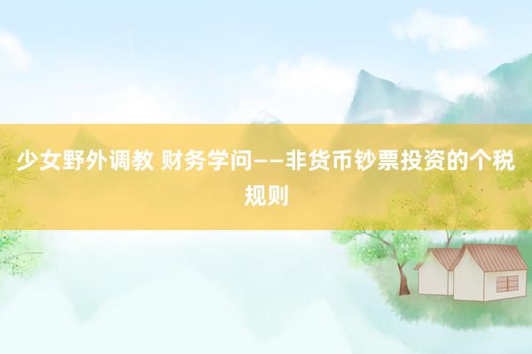 少女野外调教 财务学问——非货币钞票投资的个税规则